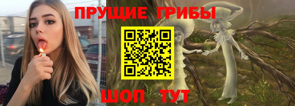 Псилоцибиновые грибы GOLDEN TEACHER  Вход с VPN  Галлюциногенные грибы MAGIC MUSHROOMS  Красный Сулин 
